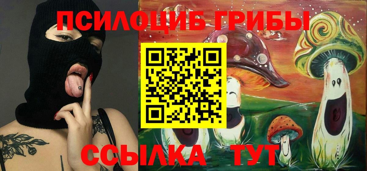 Псилоцибиновые грибы Psilocybe Лениногорск