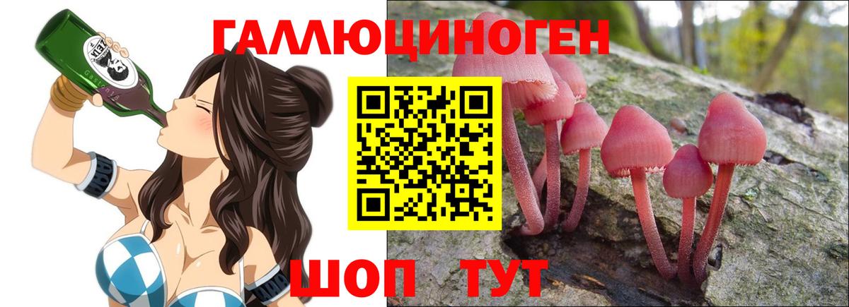 Лениногорск  Галлюциногенные грибы мухоморы  купить наркотик  Вход с VPN  Псилоцибиновые грибы ЛСД 